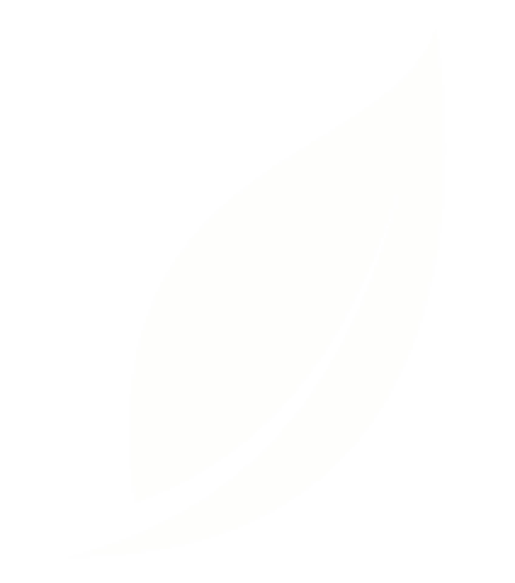 Bird 2